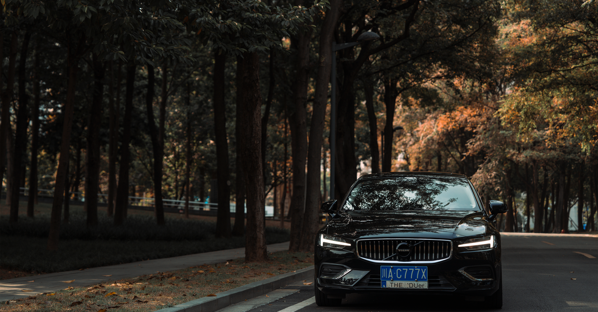 Beitragsbild zu: Alpamayo: Volvo setzt auf Nvidias Open-Source-Fahrmodell